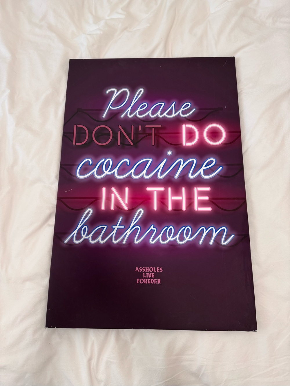 RARE!! ALF Assholes Live Forever Canvas Print - Please Don’t Do C0caine